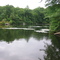 Beaver Pond, Clarence Fahnestock State Park