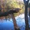  Clarence Fahnestock Memorial State Park