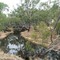 Campaspe River, Rochester