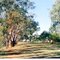 Aysons Reserve (Elmore Old Field Day Site)