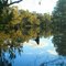 Campaspe River near Elmore