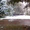 First snow of winter 2010