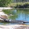 Koorana Crocodil Farm