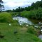 Kedron Brook near Grange