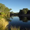 Riverside Camping at El Questro