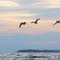 Lake Champlain. (Plattsburgh, New York, USA)