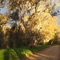 Creek Drive Euroa Vic