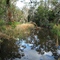 Seven Creek Euroa Vic