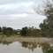 Arboretum Australian Park Euroa