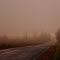 Foggy Twilight on River Road