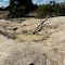 Mud Springs near Eulo, Queensland, Australia