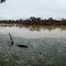  Paroo River - Eulo