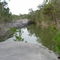 The Blue Pool