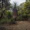 Grass Tree at Broadwater NSW