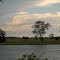 Richmond River at Buckendoon