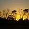 Sun Set at Gippsland VICTORIA