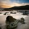 Rock Whale