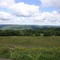 Blenheim NY