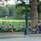 Central Park, NY