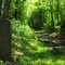 Catskill Scenic Trail, Gilboa, NY
