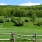 Green On Green