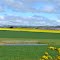 Near Hilltown, South Australia