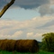 The Sheep Call it Annncram