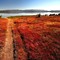 Moulting Lagoon