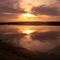 Yellow Sands