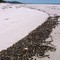 Friendly Beaches