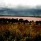 Pykes Creek Reservoir