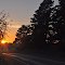a few of the images I have managed to capture on our early morning walks around Ballan! Blog post here: http://livinginballan.blogspot.com.au/2012/04/exploring-ballan-on-foot.html