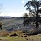 Glenmore area, Victoria, Australia.