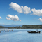 Wallis Lake, Forster