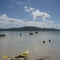 wallis lake beach zone
