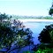 Fitzroyriver