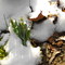 Spring is just around the corner in Waxhaw, N.C.