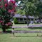 Pecan Ridge