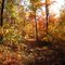 Autumn in Big Flats, New York.