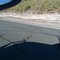Tiger Snake