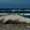 © Uli Stich April 2004 3 mile Road Campground Gnaraloo WA