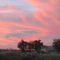 Sunset over Laidley
