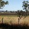 Forest Hill, Queensland
