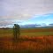 Farmland near Gatton
