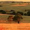 Dry view By David Gibbs
