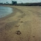 goulbourn island beach