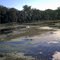 Wetlands by County Highway P51