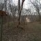 Base of Racoon Hallow and Hilltop Trails