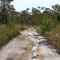 Lakeview Track. (Croajingolong National Park)