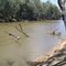Murray River in Gunbower State Park